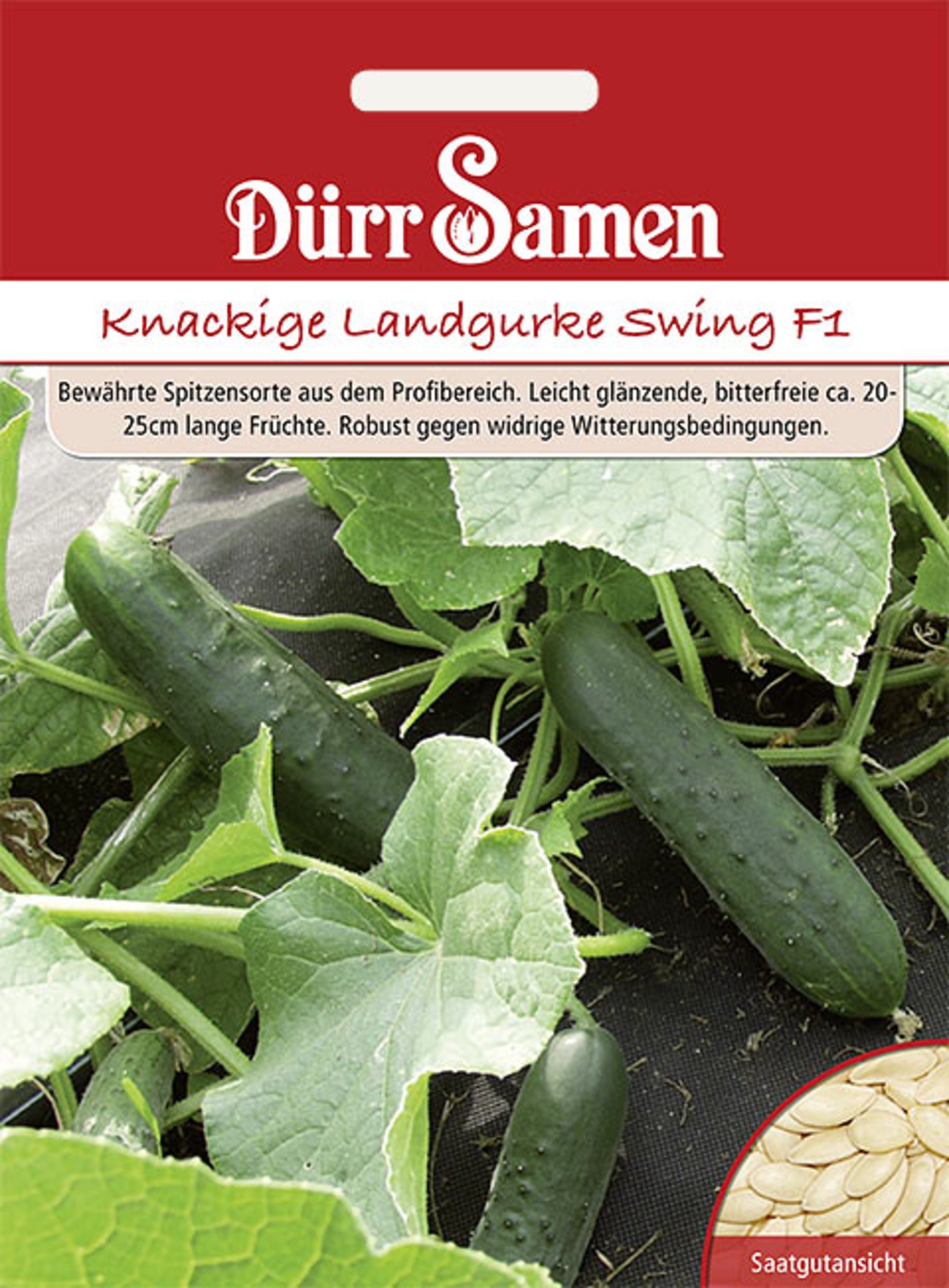 Knackige Landgurke Swing F1