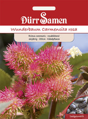 Wunderbaum rosablühend einjährig 200 cm