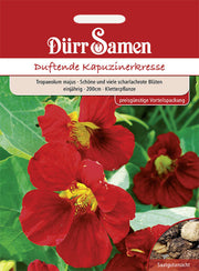 Kapuzinerkresse rot rankend einjährig 200 cm