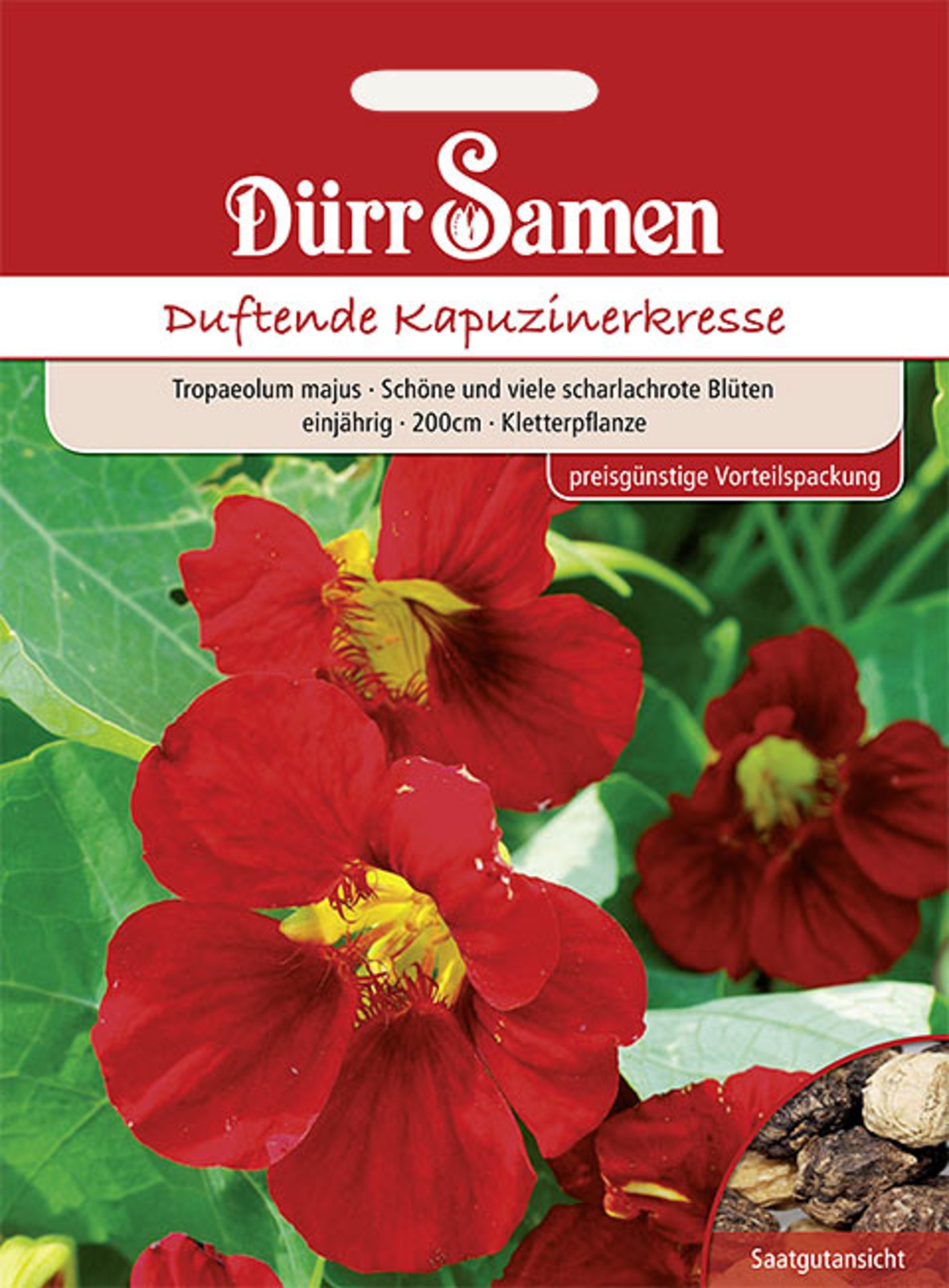 Kapuzinerkresse rot rankend einjährig 200 cm