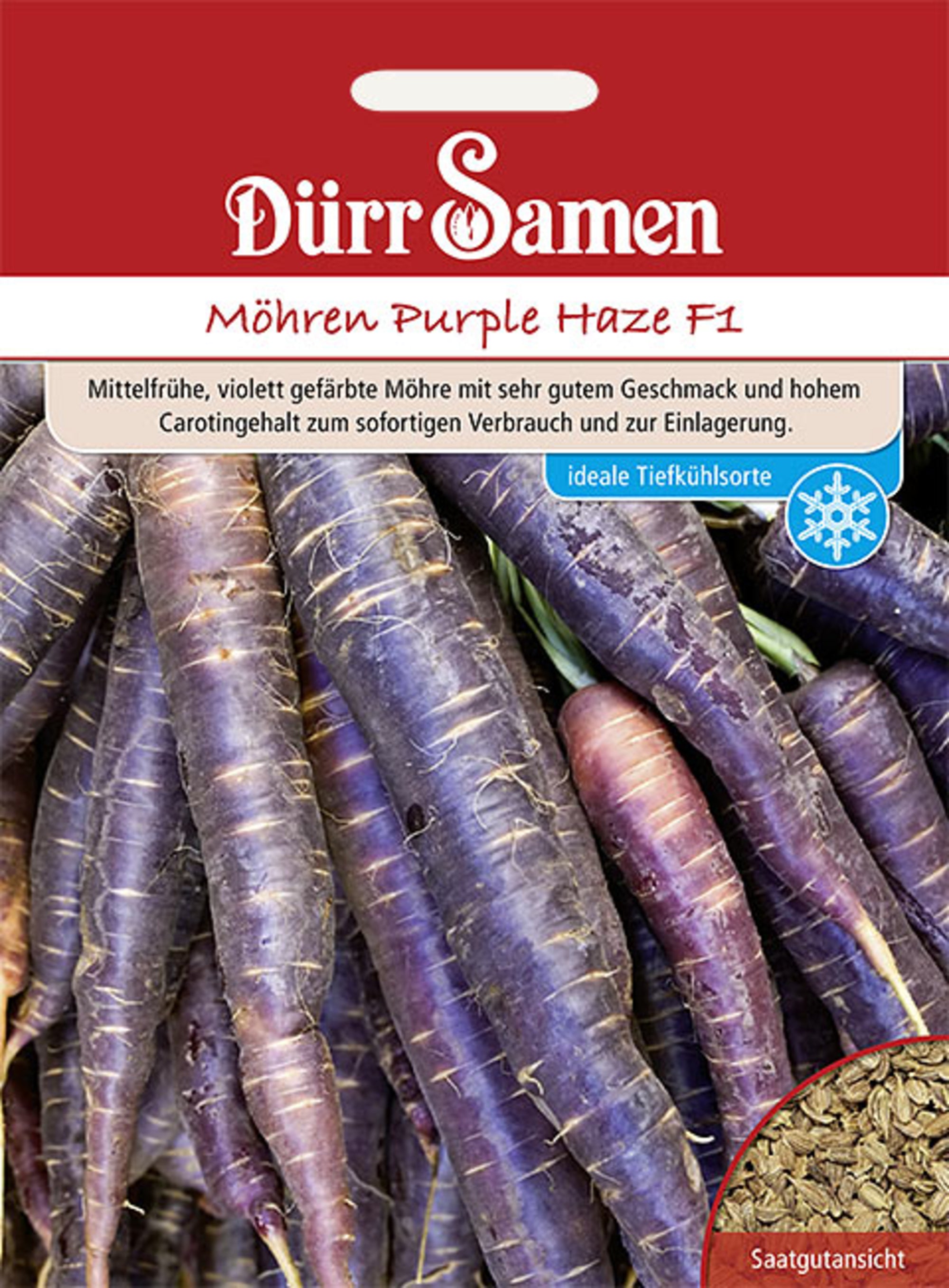 Möhren Purple Haze F1