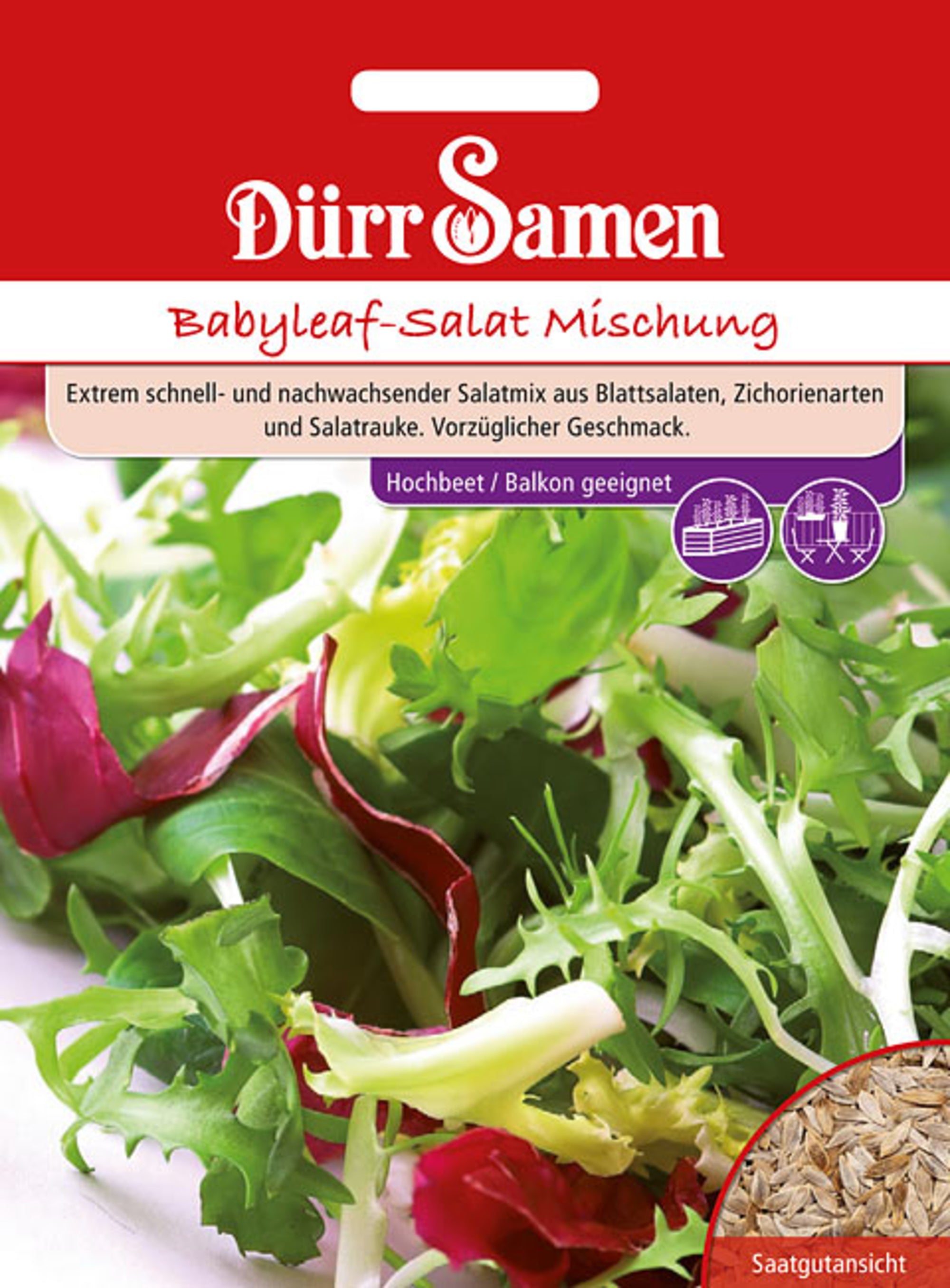 Babyleaf-Salat Mischung für Balkon und Freiland