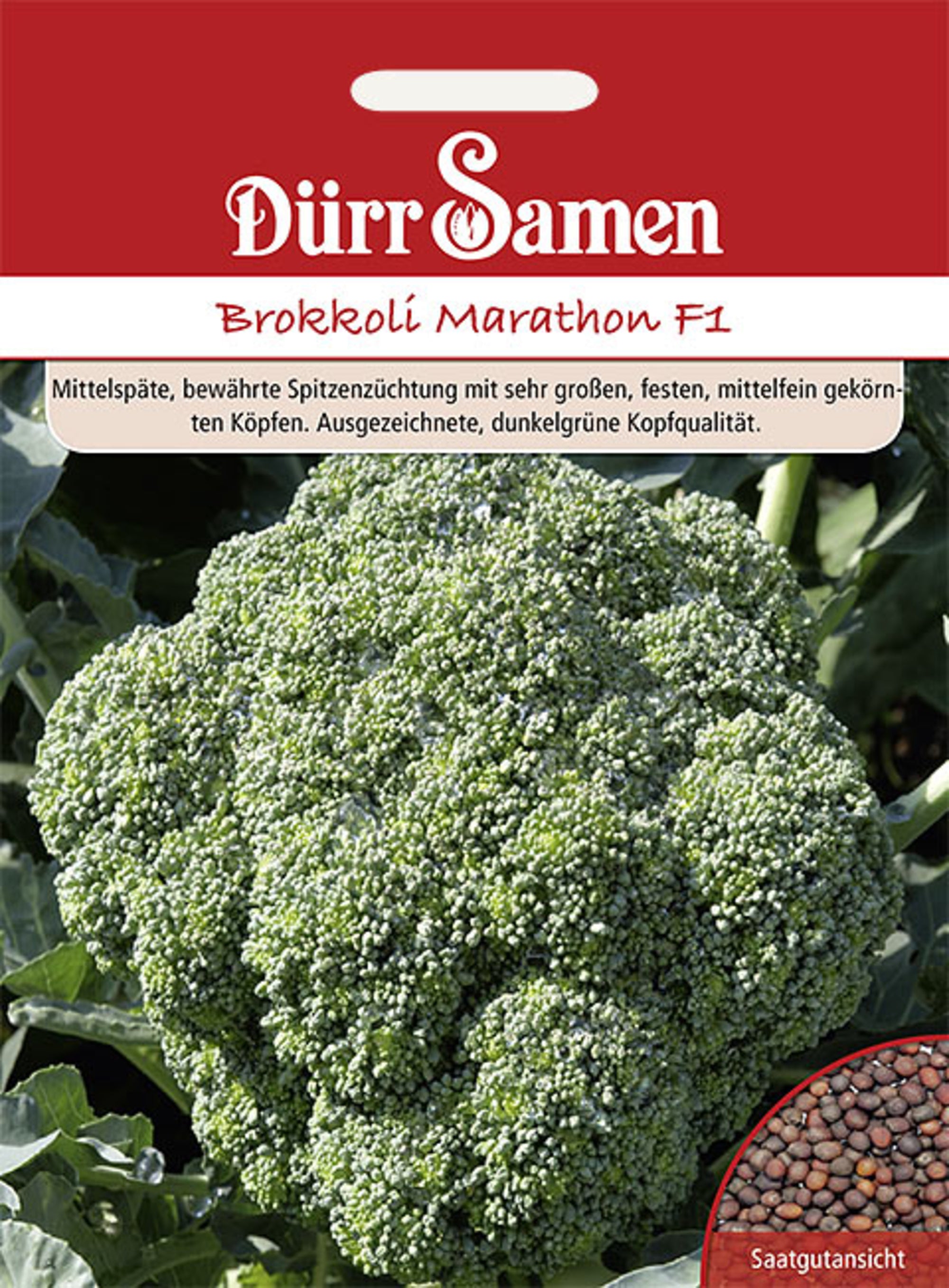 Brokkoli Marathon F1