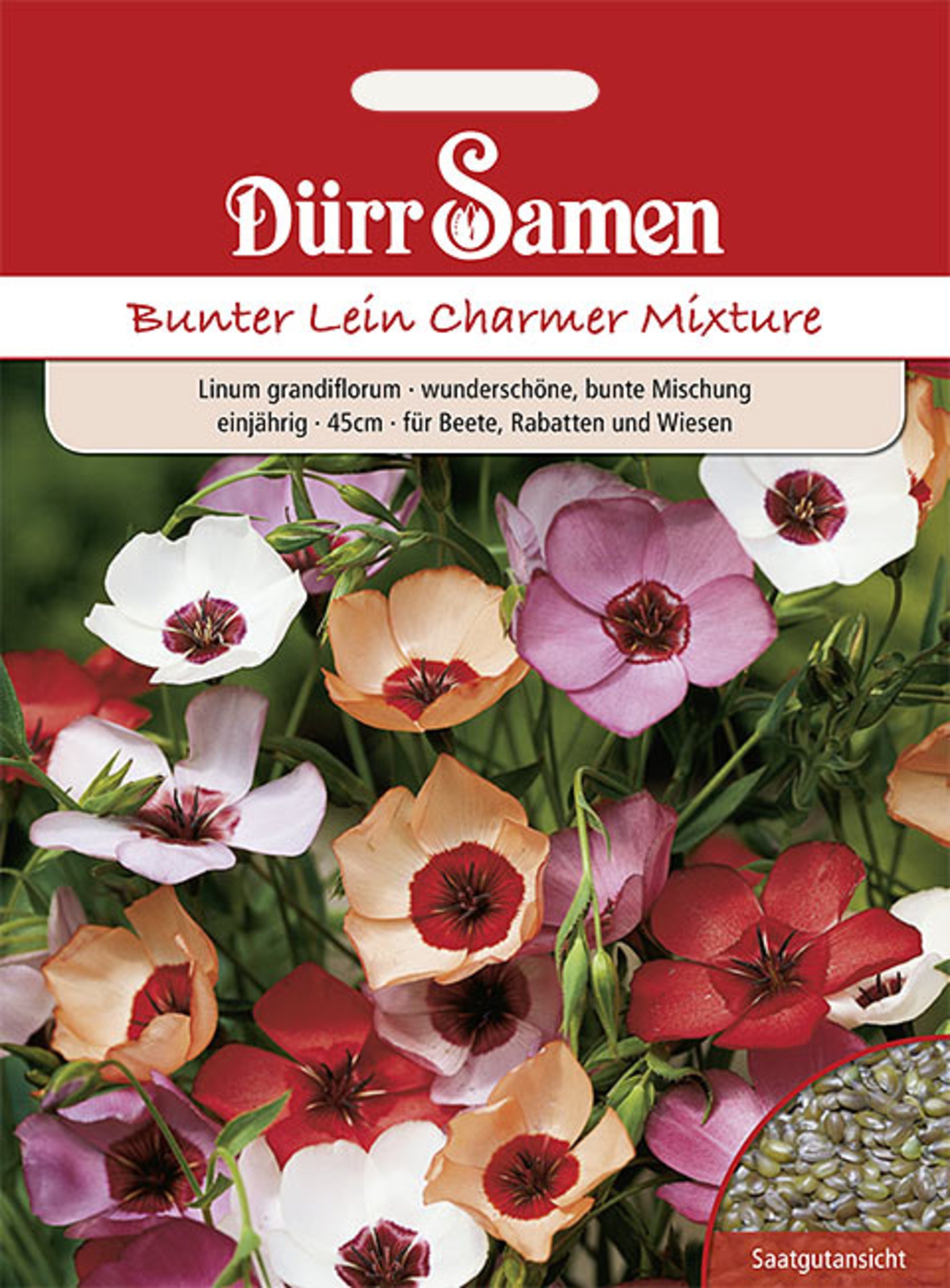 Bunter Lein Charmer Mix einjährig 45 cm