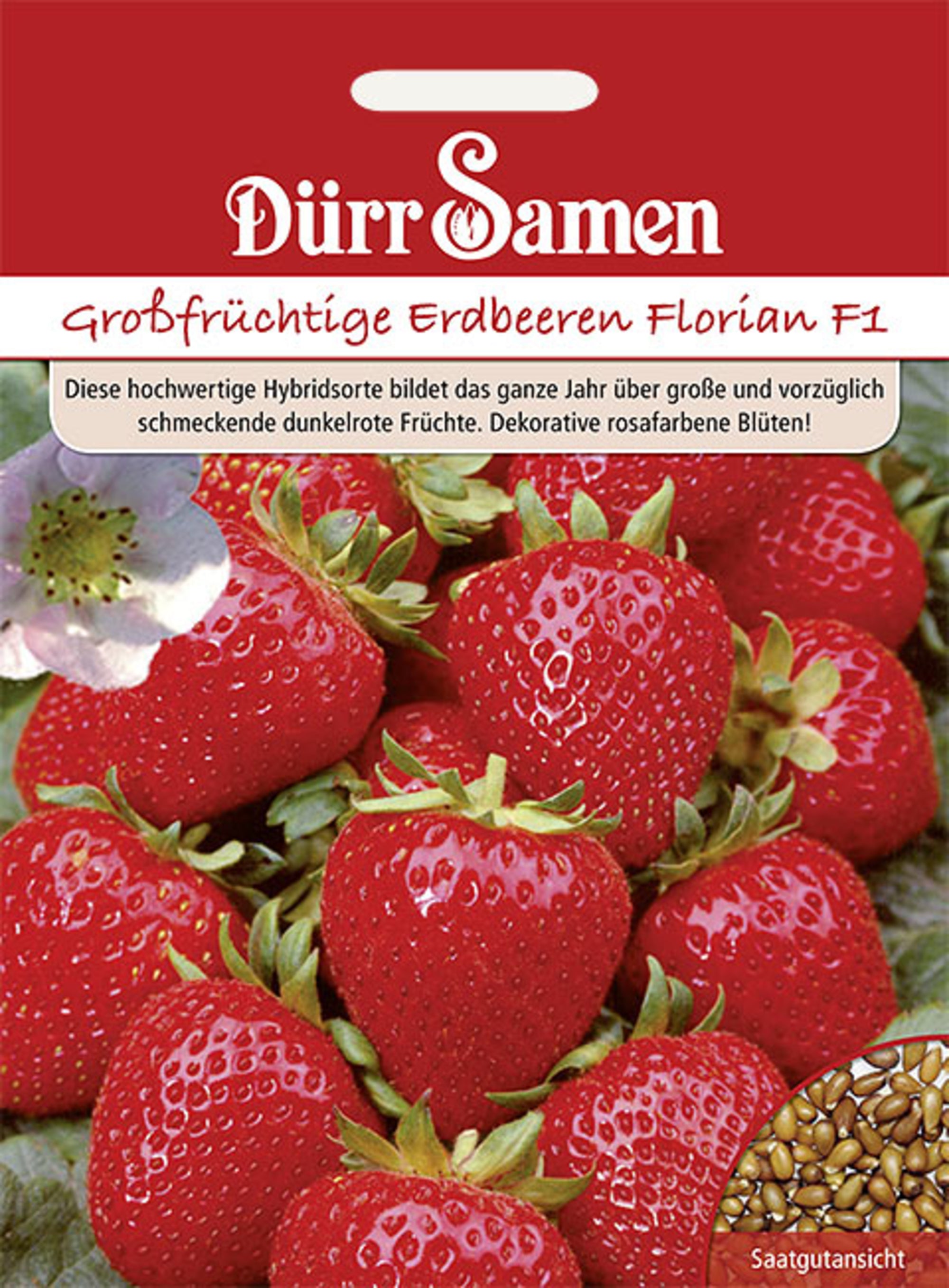 Erdbeeren Florian F1