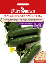 Mini-Gurken Adrian F1 RZ