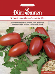 Roma-Tomaten Olivade F1