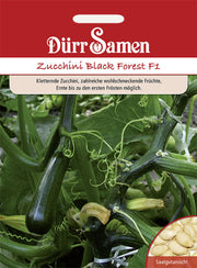 Zucchini Black Forest F1