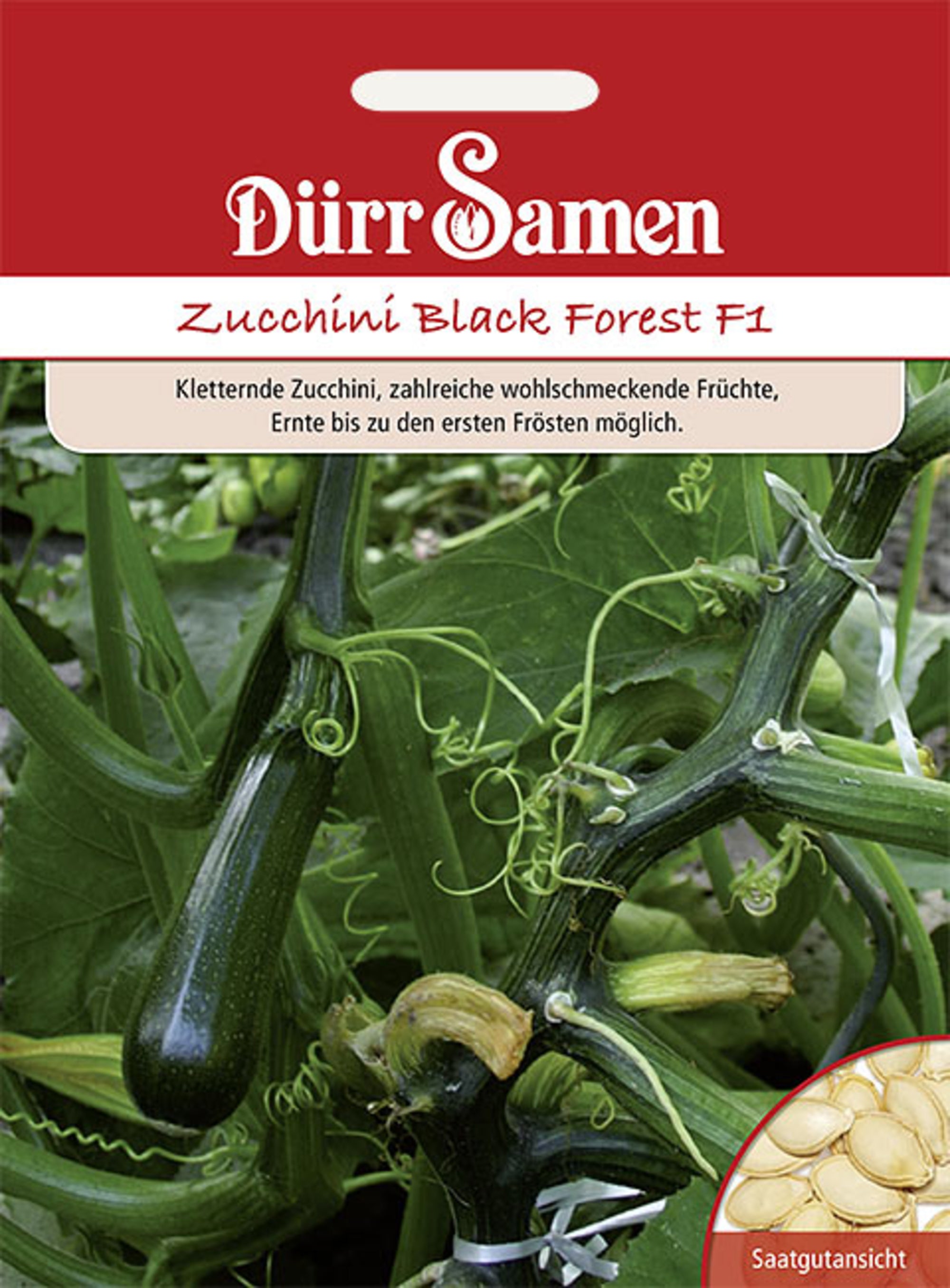 Zucchini Black Forest F1