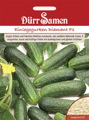 Einlegegurken Diamant F1