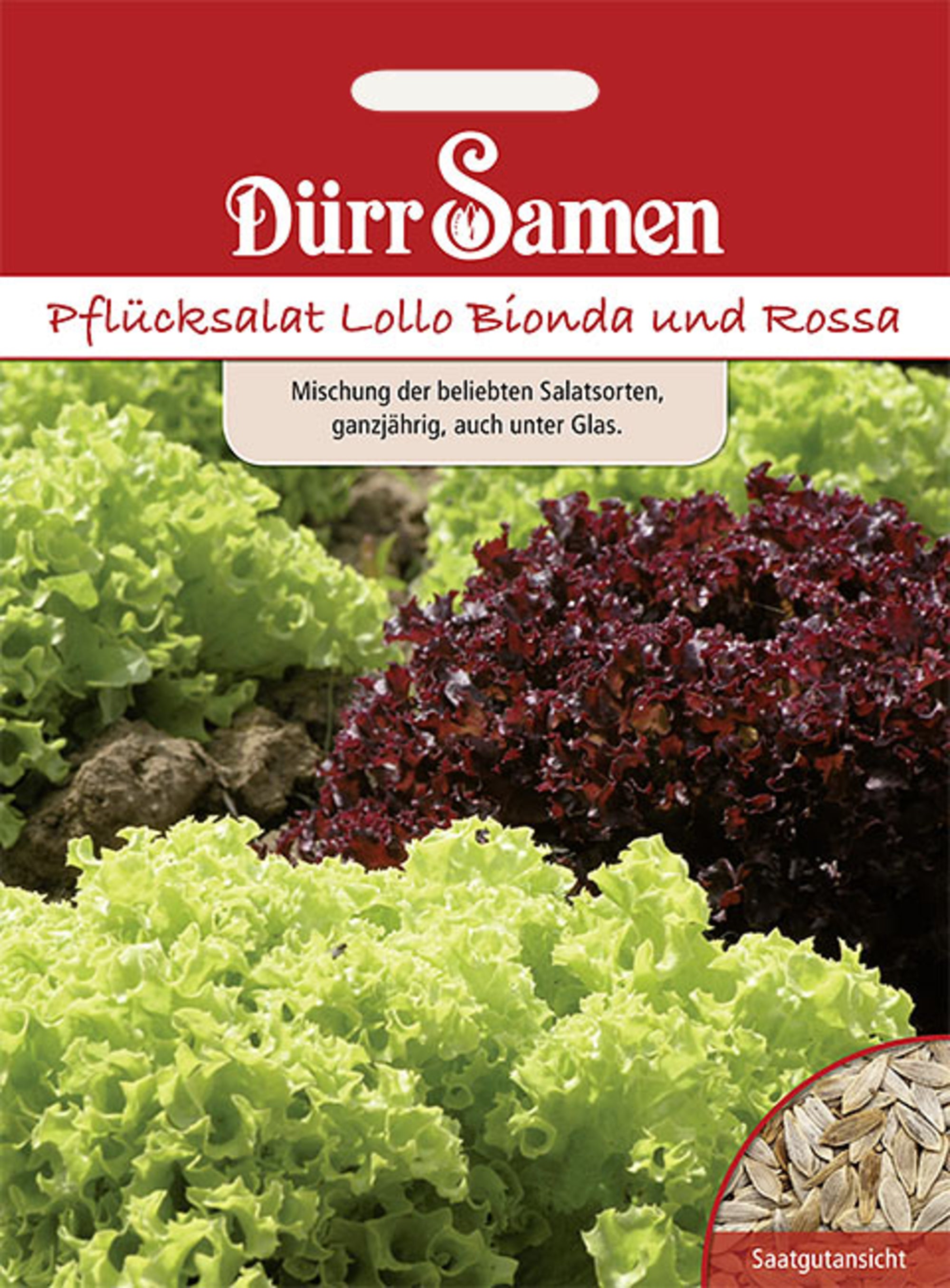 Pflücksalat Lollo Mischung Bionda + Rossa