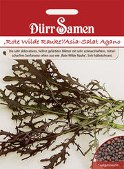 Rote Wilde Rauke Asia-Salat Agano