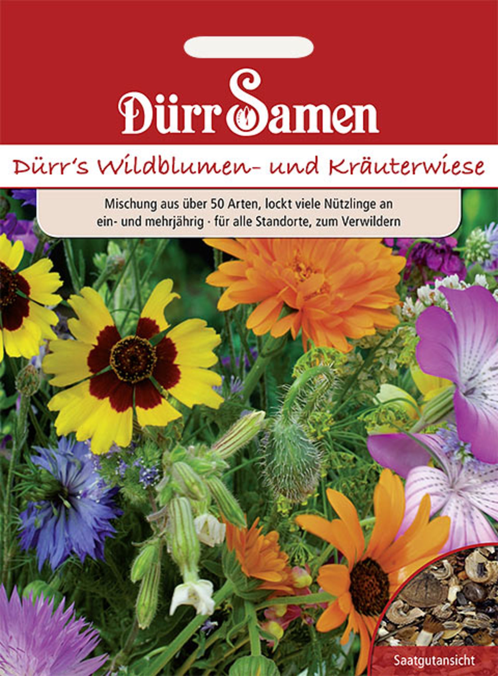 Blumen- und Kräuterwiese 50 Arten ein- und mehrjährige