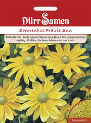 Sonnenhut Prairie Sun hellgelbe Blüten einjährig 70-80 cm