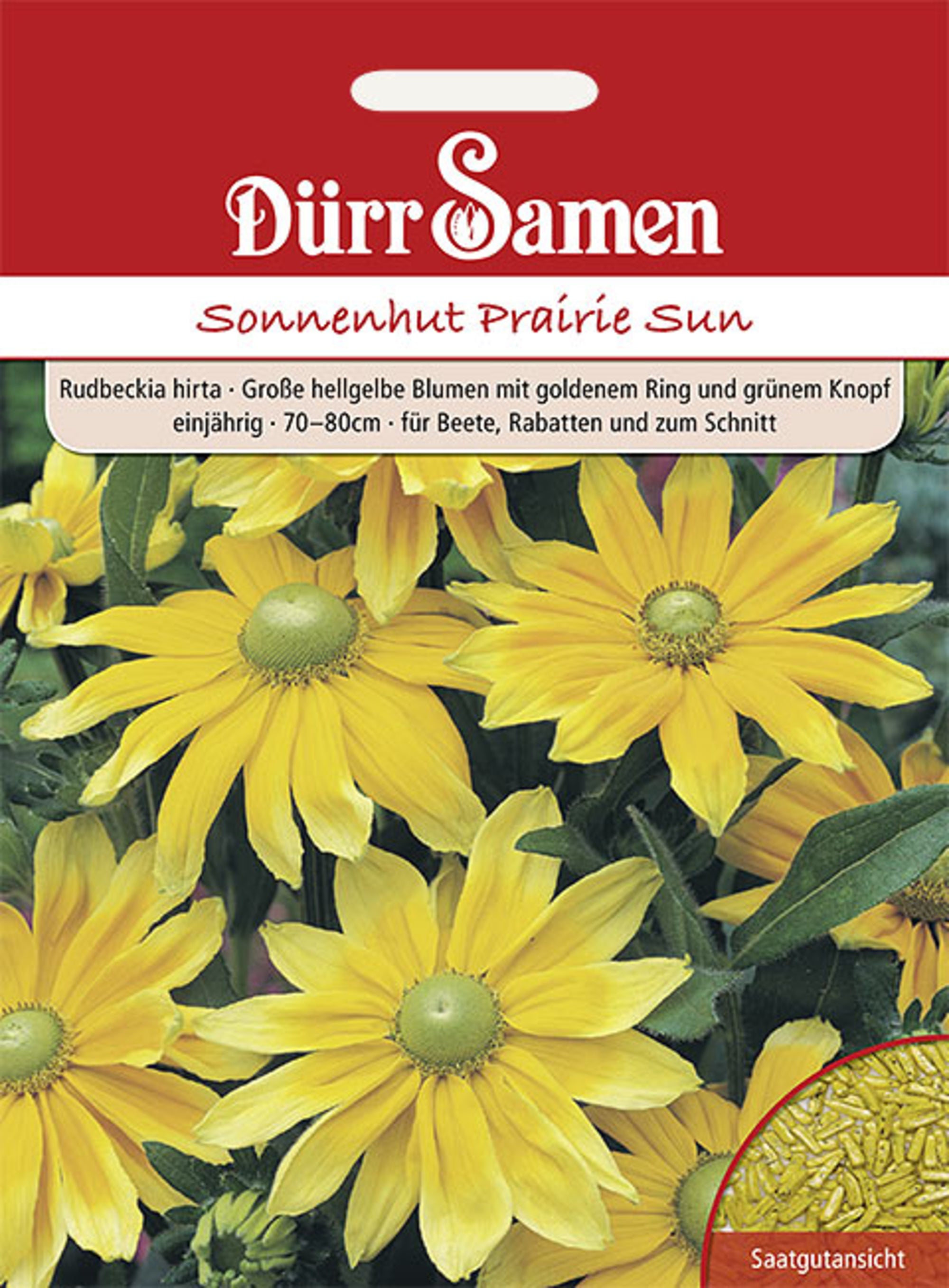 Sonnenhut Prairie Sun hellgelbe Blüten einjährig 70-80 cm