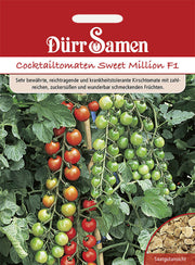 Kirsch-Tomaten Sweet Million F1
