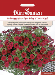 Petunien Big Time Red einjährig 100 cm