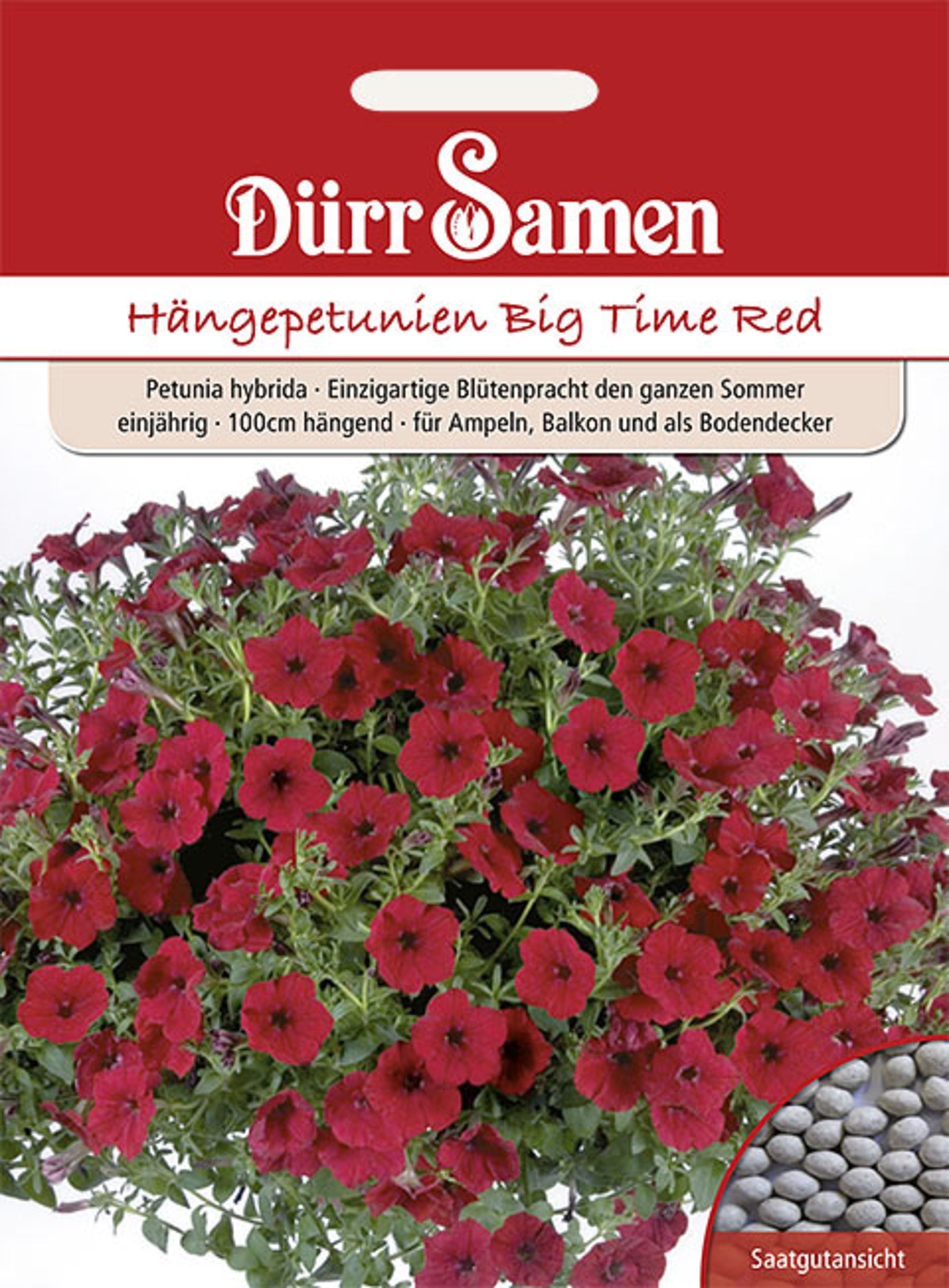 Petunien Big Time Red einjährig 100 cm