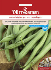 Buschbohnen St. Andreas