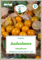 Andenbeere Inkapflaume