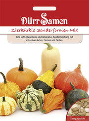 Zierkürbis Sonderformen