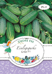 Einlegegurke Conny F1