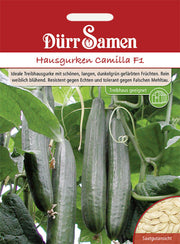 Hausgurken Camilla F1