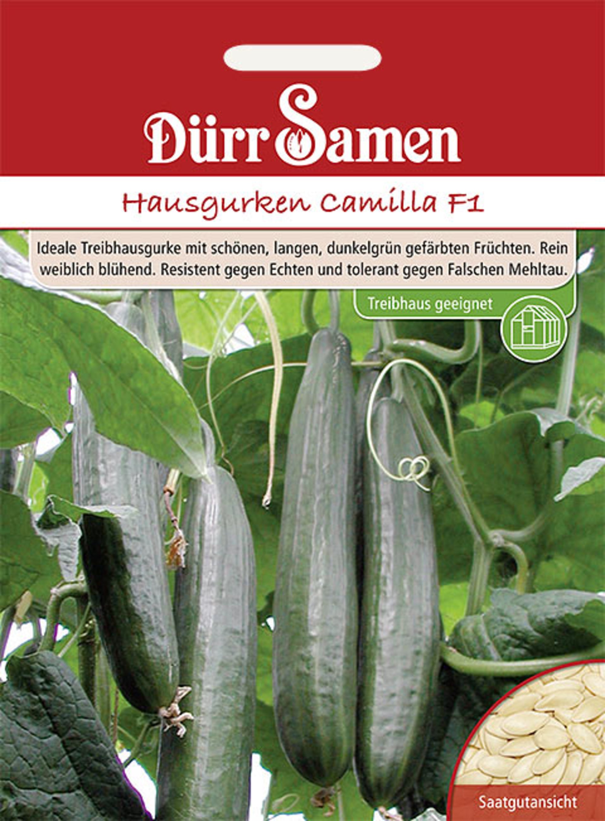 Hausgurken Camilla F1