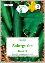Salat- und Schälgurke Konsa F1