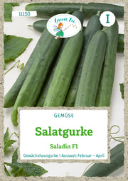 Salatgurke Saladin F1