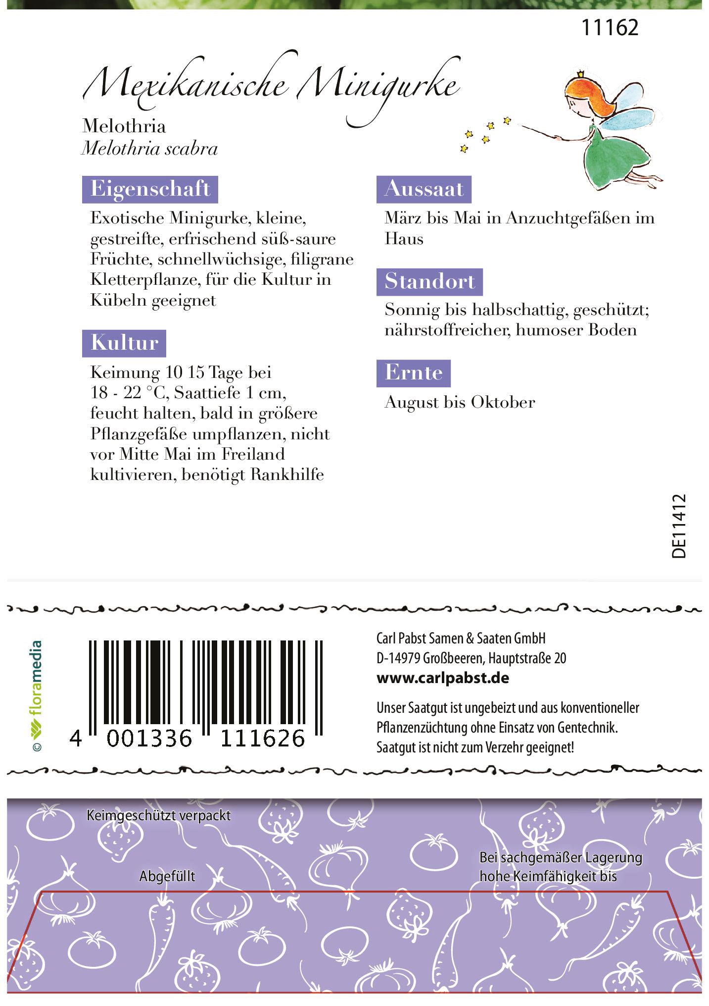 Mexikanische Minigurke Melothria