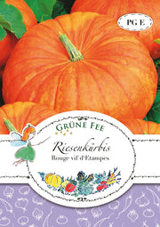Riesenkürbis Rouge vif d´Etampes