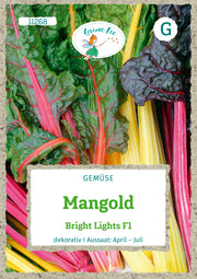 Mangold Bright Lights F1