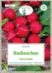 Radieschen Cherry Belle
