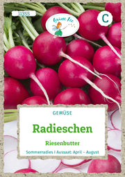Radieschen Riesenbutter