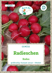 Radieschen Rodos