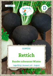 Rettich Runder schwarzer Winter