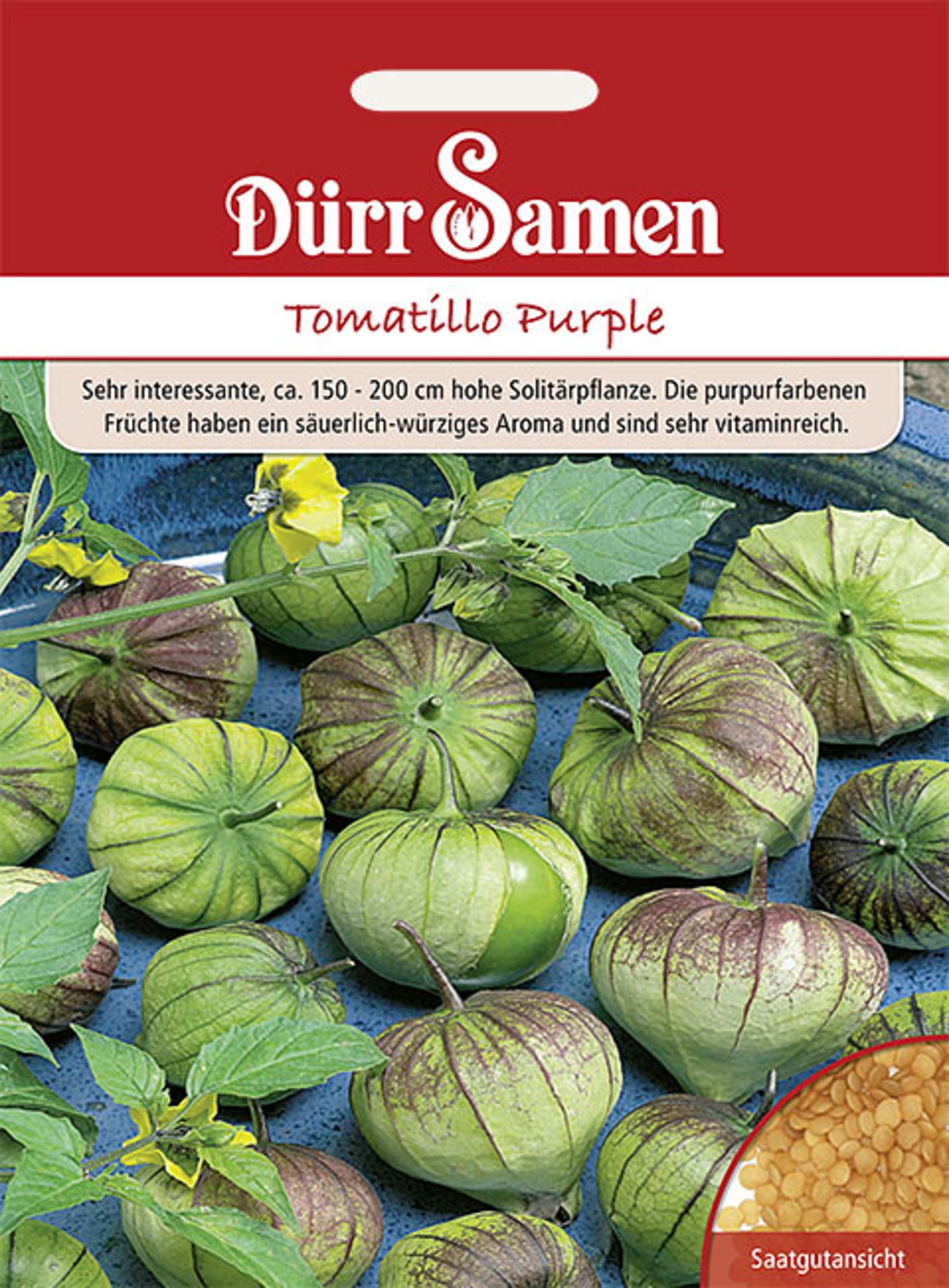 Tomatillo Purple