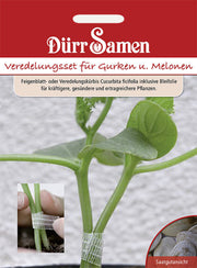Veredelungs-Set Für Gurken und Melonen