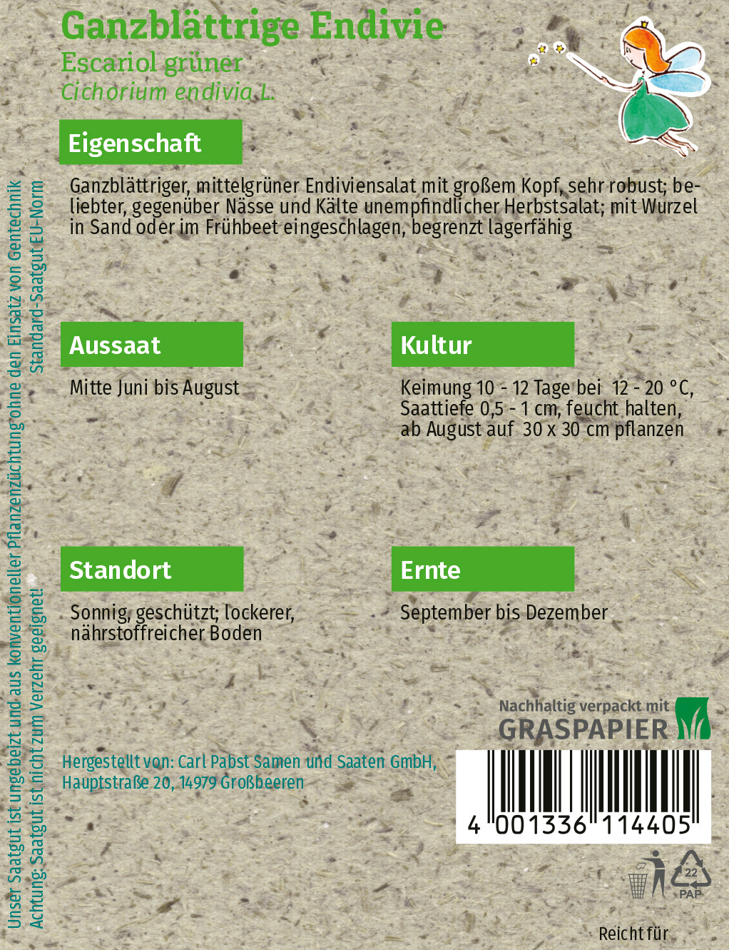 Ganzblättrige Endivie Escariol grüner