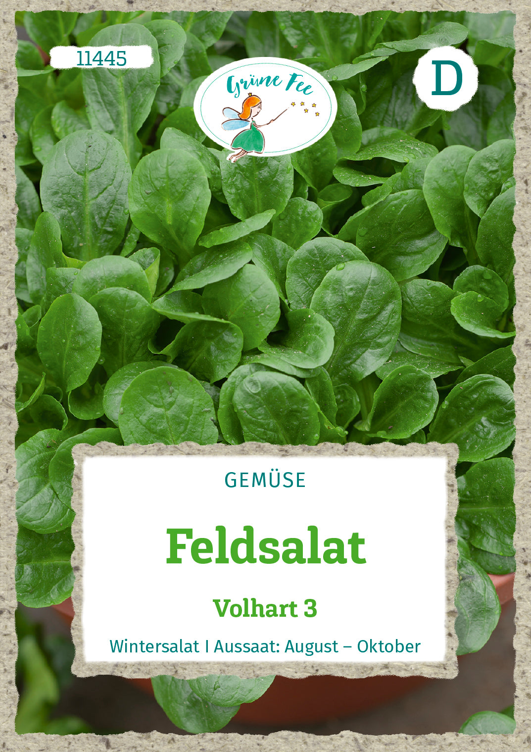 Feldsalat Volhart 3