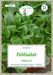 Feldsalat Volhart 3