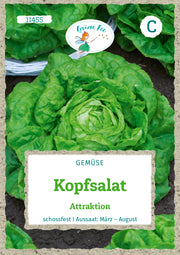 Kopfsalat Attraktion