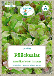 Pflücksalat Amerikanischer Brauner