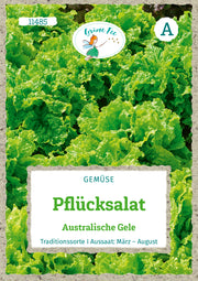Pflücksalat Australische Gele