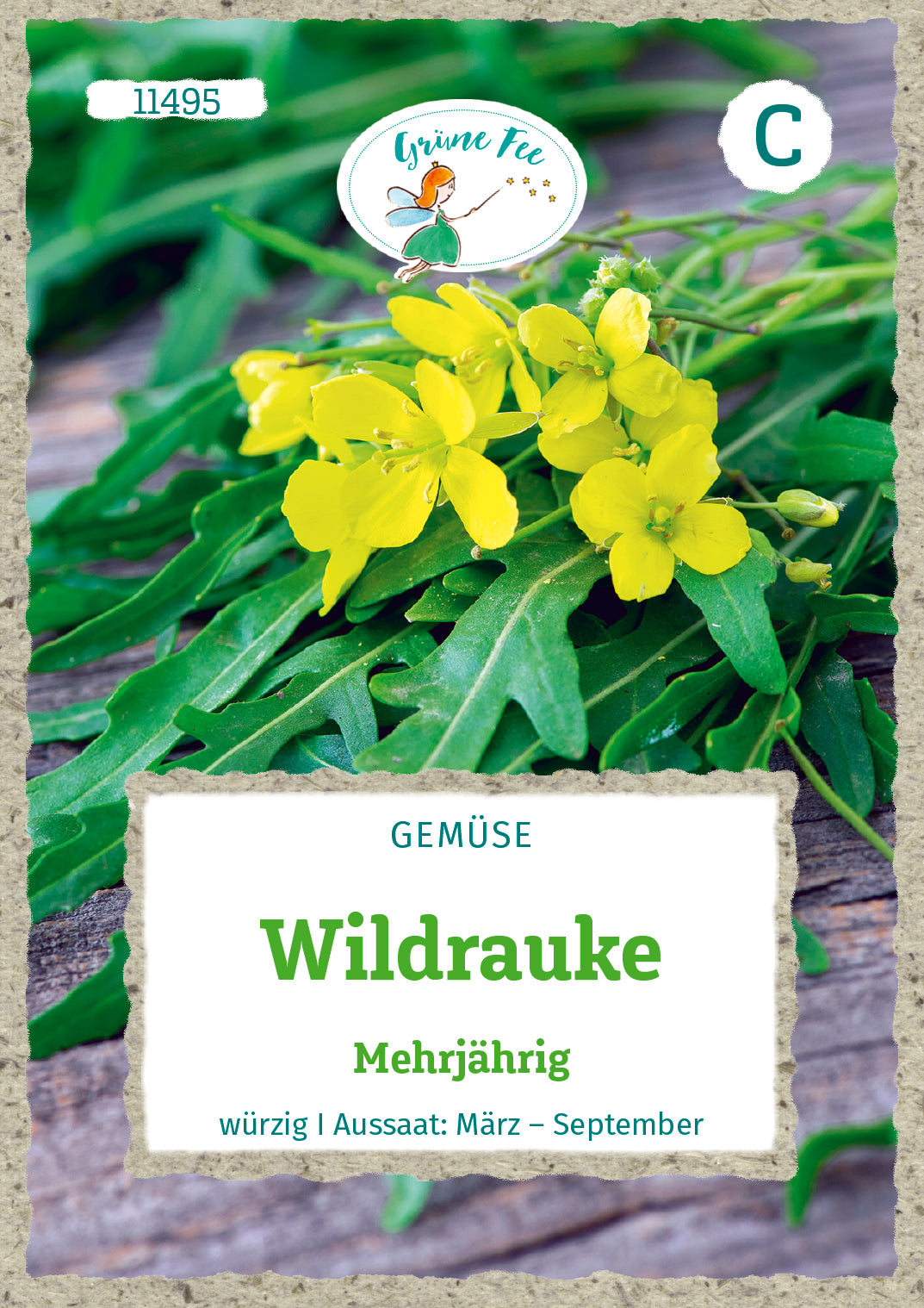 Wildrauke Mehrjährig würzig