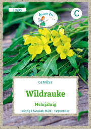 Wildrauke Mehrjährig würzig