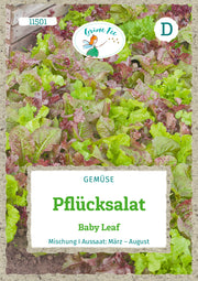 Pflücksalat Baby Leaf