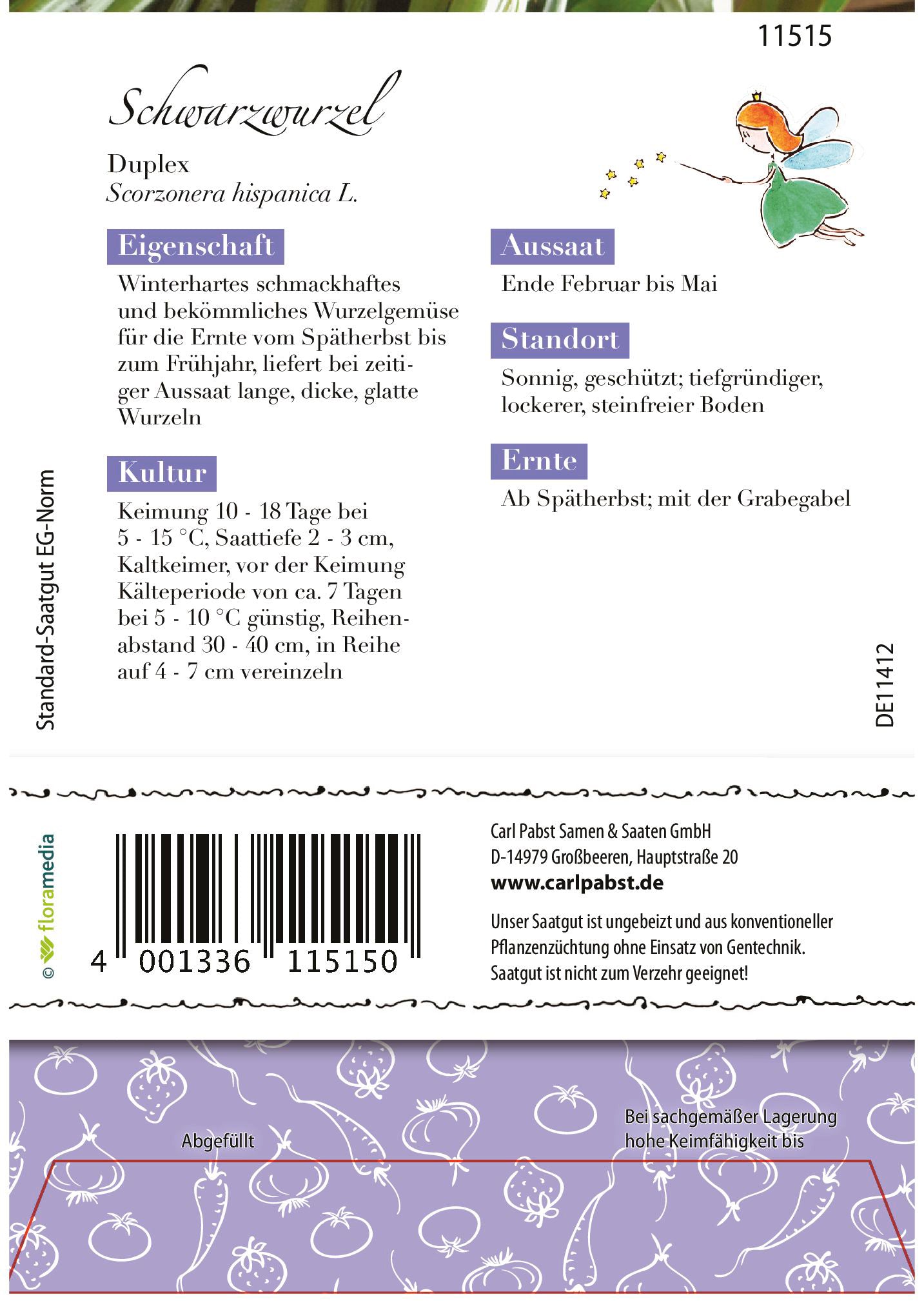 Schwarzwurzel Duplex