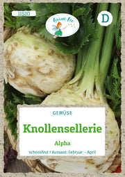 Knollensellerie Alpha